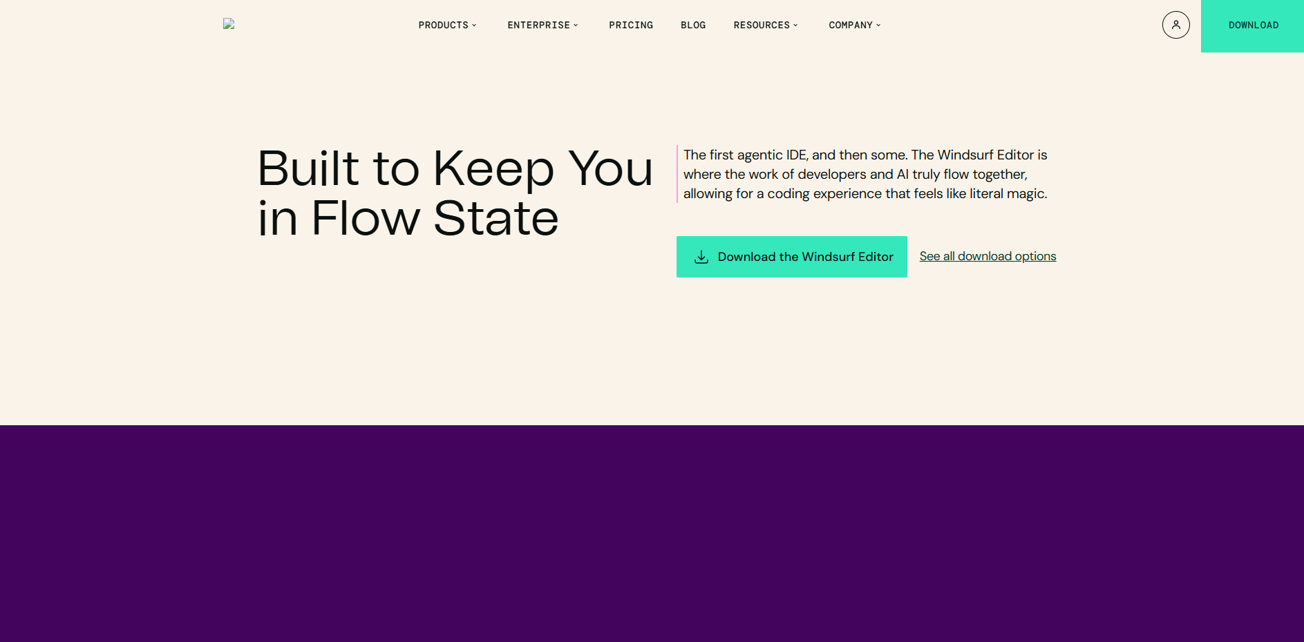 windsurf网站首页截图预览