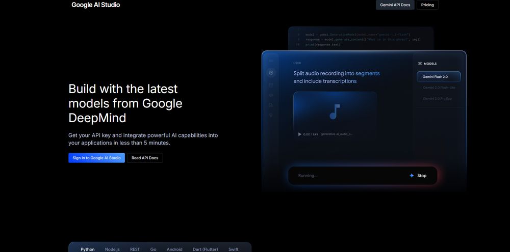Google AI Studio网站首页截图预览